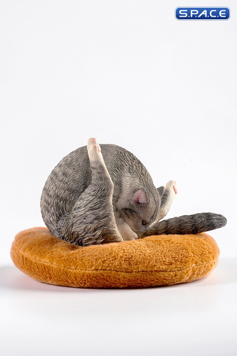 1/6 Scale Chicken Leg Cat (grey)