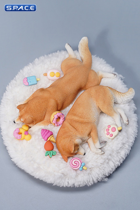 1/6 Scale sleeping Shiba Inu Set (brown)