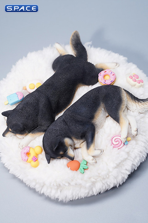 1/6 Scale sleeping Shiba Inu Set (black)