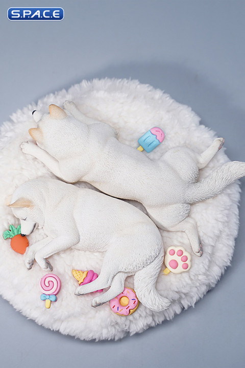 1/6 Scale sleeping Shiba Inu Set (white)