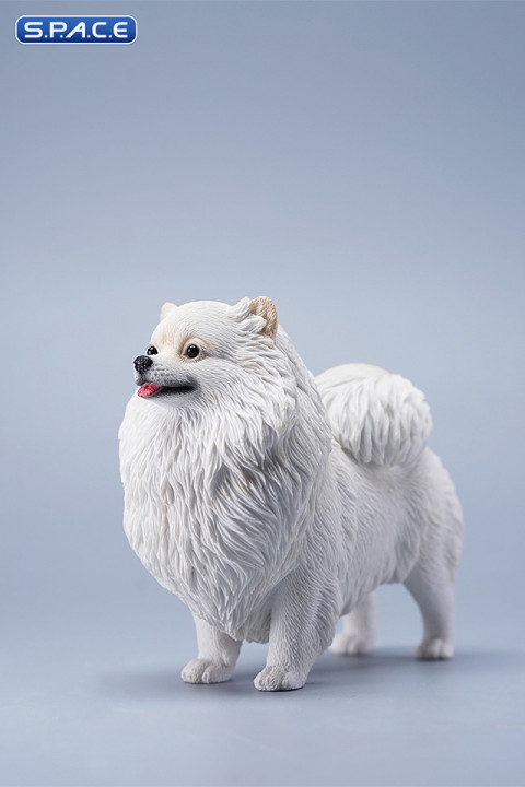 1/6 Scale Pomeranian (white)