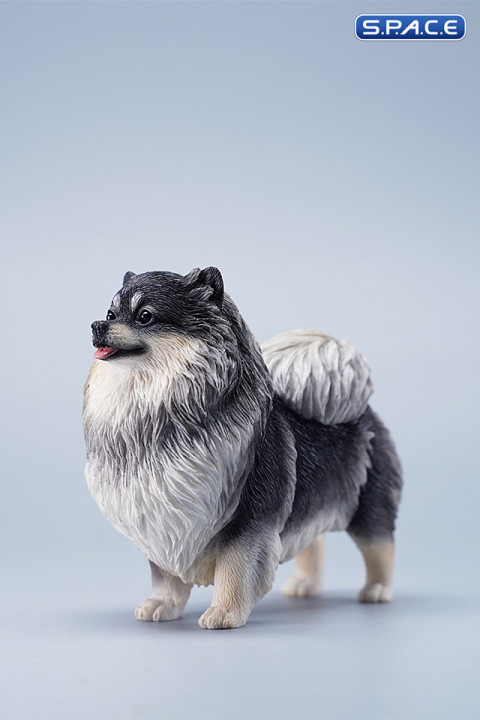 1/6 Scale Pomeranian (black)