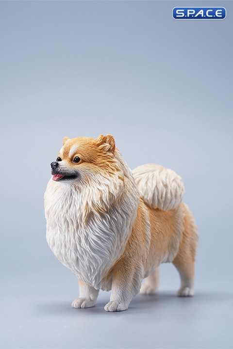 1/6 Scale Pomeranian (light brown)