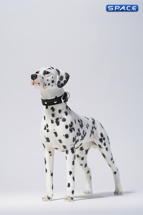 1/6 Scale Dalmatian