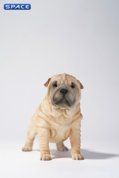 1/6 Scale Shar-Pei (light brown)