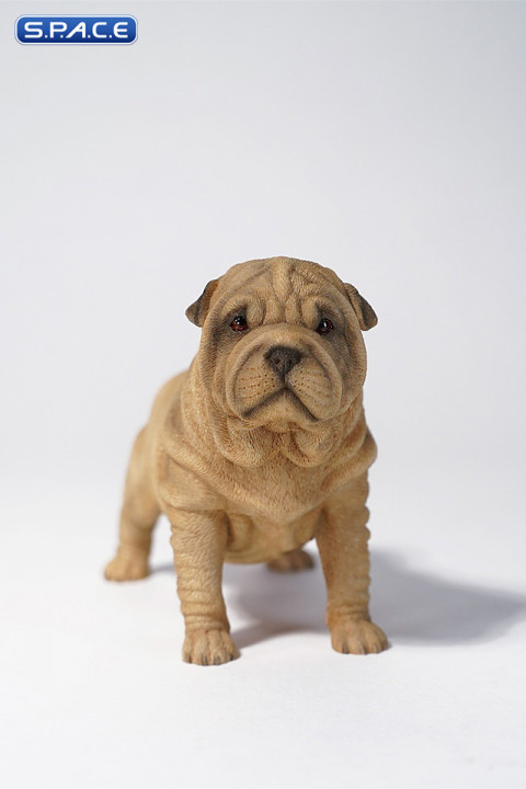 1/6 Scale Shar-Pei (brown)