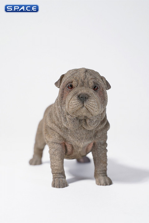 1/6 Scale Shar-Pei (grey)