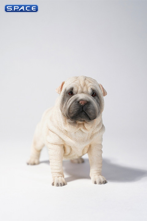 1/6 Scale Shar-Pei (white)