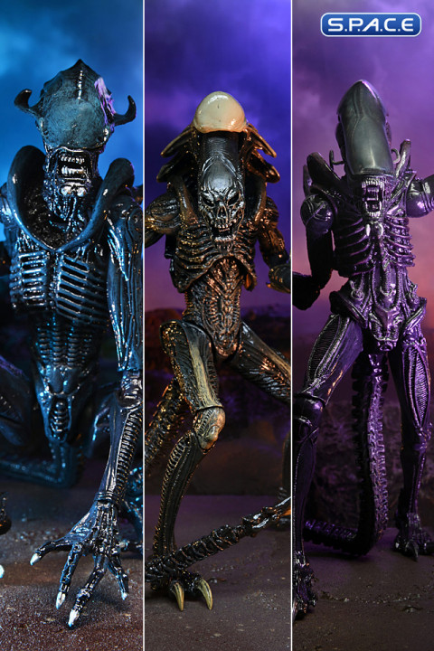 3er Komplettsatz: Alien vs. Predator Movie Deco Serie 1 (Alien vs. Predator)