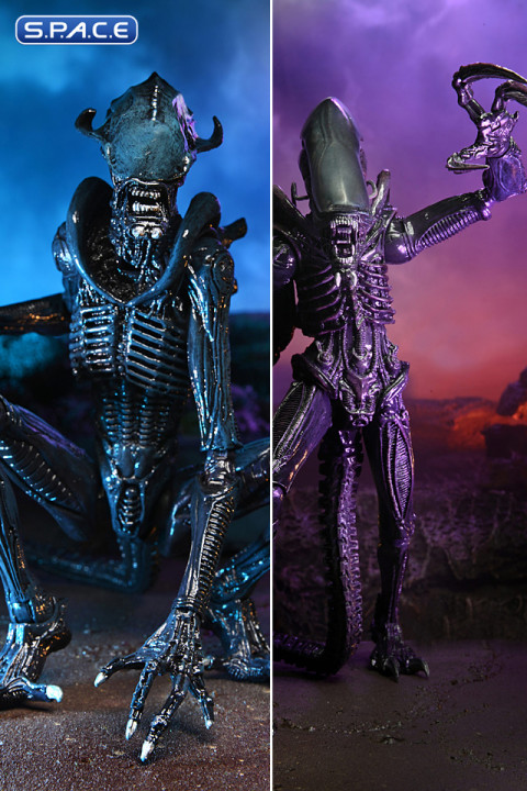 Set of 2: Alien vs. Predator Movie Deco Series 1 (Alien vs. Predator)