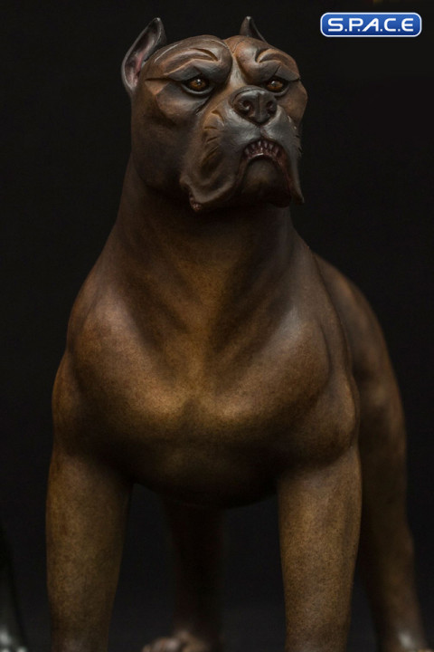 1/6 Scale tiger stripe Casro - Spade 8 Dog (Gangsters Kingdom)