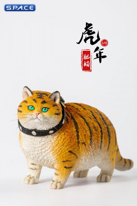 1/6 Scale Fat Cat - The year of the tiger