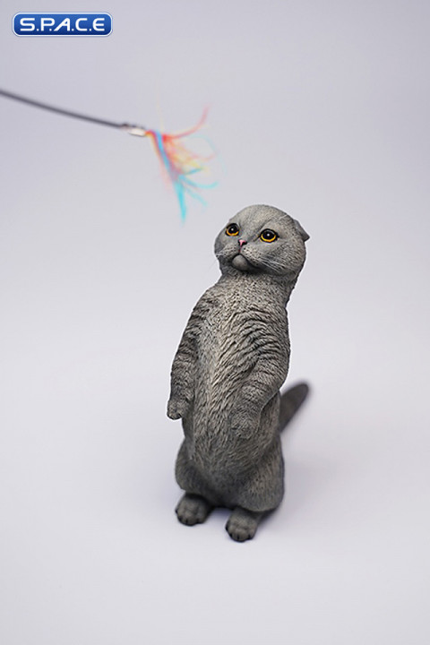 1/6 Scale Scottish Fold (grey)