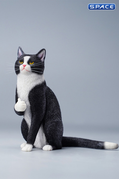 1/6 Scale Thumb Up Cat (black)