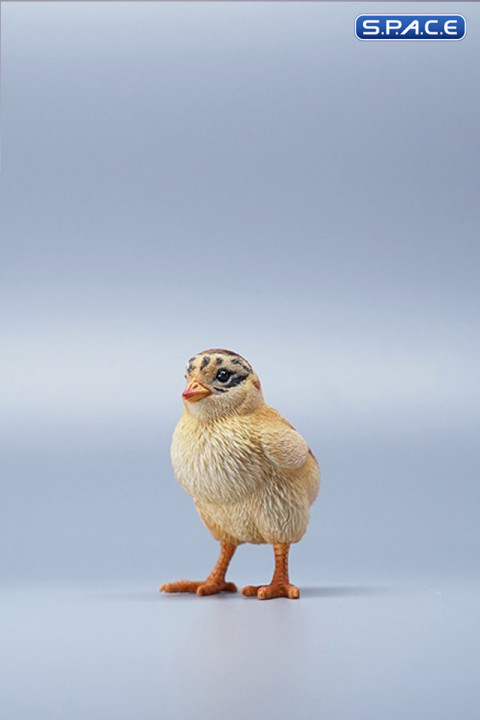 1/3 Scale Chick Version A