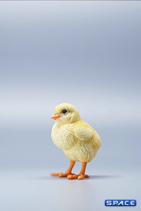1/3 Scale Chick Version B
