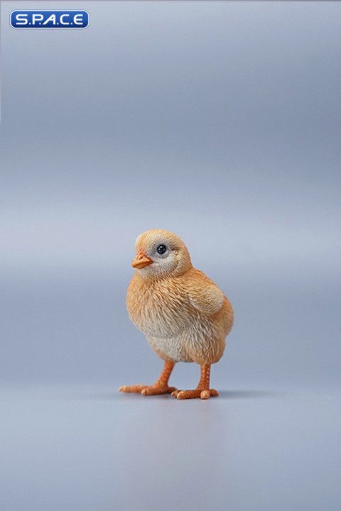 1/3 Scale Chick Version C