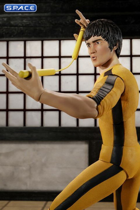 Ultimate Bruce Lee - The Challenger Version (Bruce Lee)