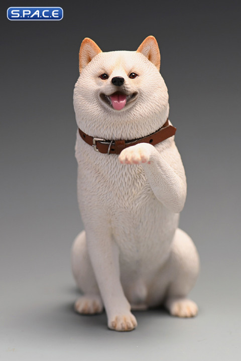 1/6 Scale Play Cute Shiba Inu (white)