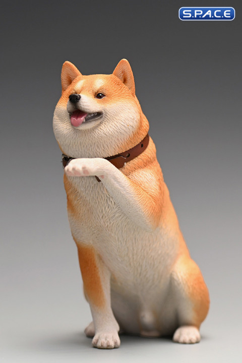 1/6 Scale Play Cute Shiba Inu (white/brown)