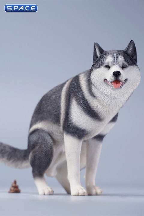 1/6 Scale Siberian Husky Half Squat (black)