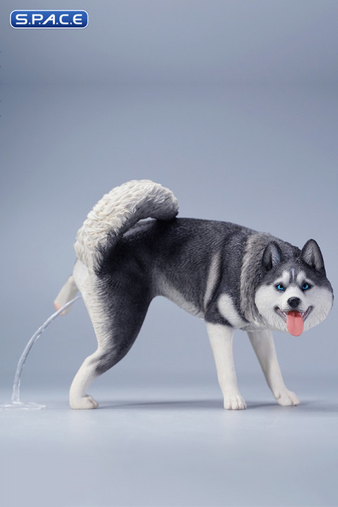 1/6 Scale Siberian Husky Leg Lift (black)