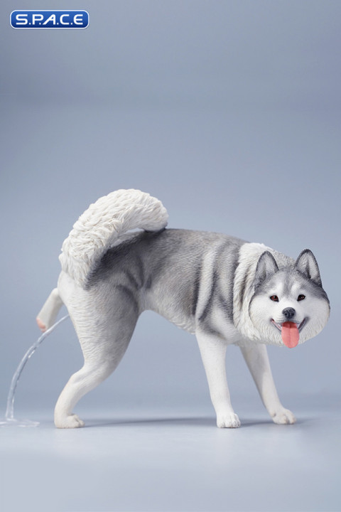 1/6 Scale Siberian Husky Leg Lift (grey)