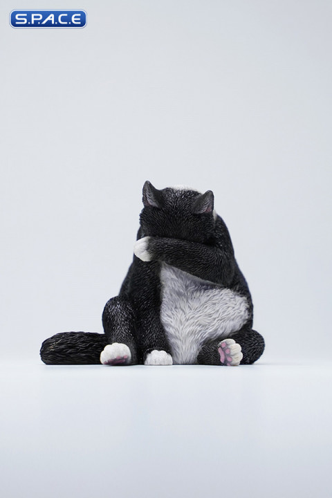 1/6 Scale Lazy Cat 6.0 (black)