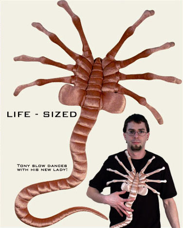 Facehugger Lifesize Plush Replica (Alien)