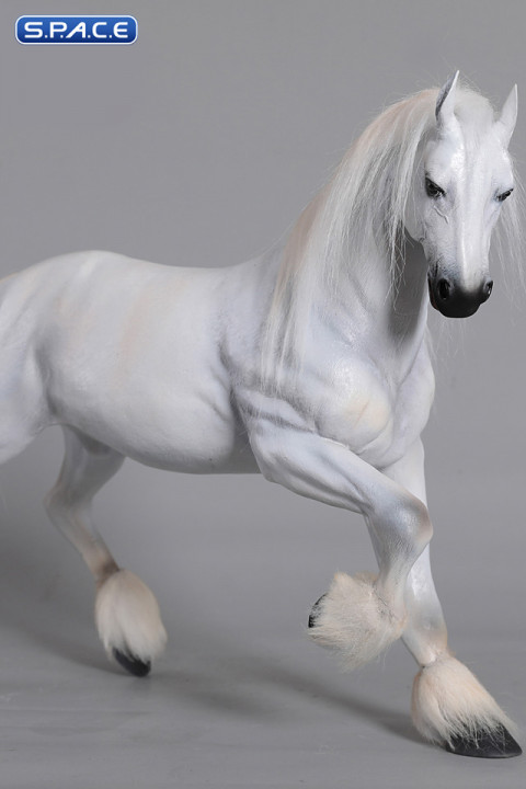 1/6 Scale Ardenne Horse (white)