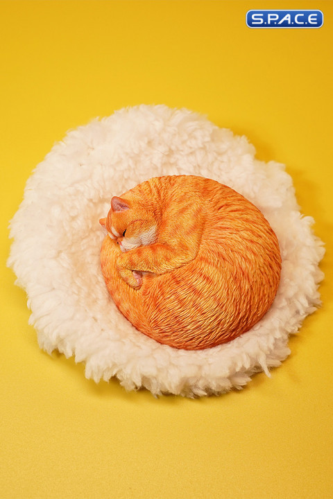 1/6 Scale sleeping Cat (red)
