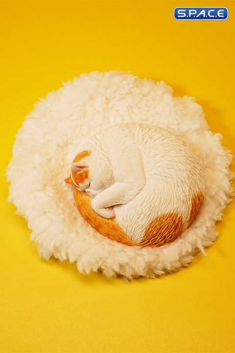 1/6 Scale sleeping Cat (red/white)