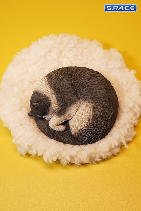 1/6 Scale sleeping Cat (grey)