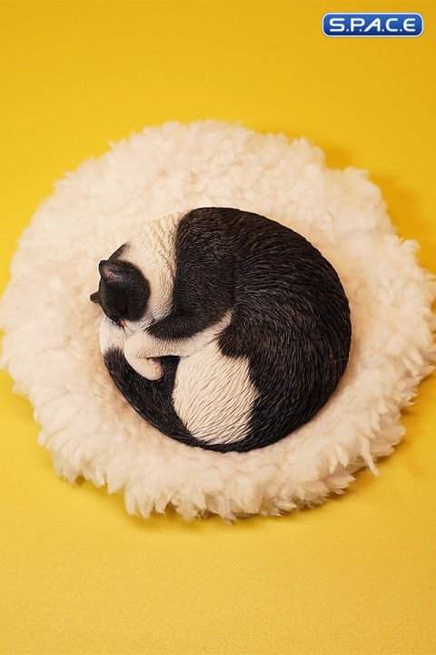 1/6 Scale sleeping Cat (black)