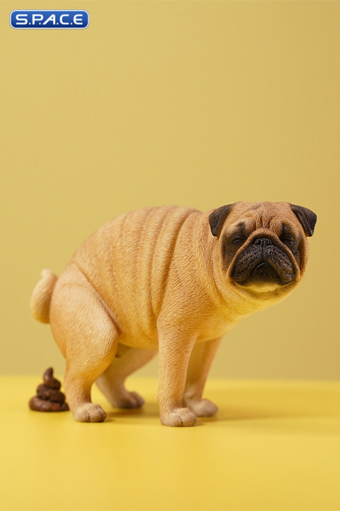1/6 Scale half squatting Pug (brown)