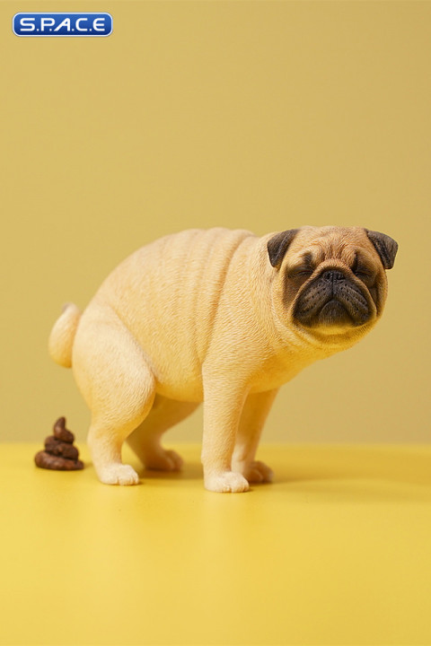 1/6 Scale half squatting Pug (white)