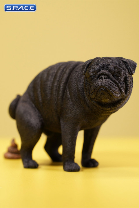 1/6 Scale half squatting Pug (black)