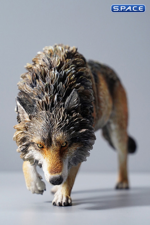 1/6 Scale North American Gray Wolf (brown)