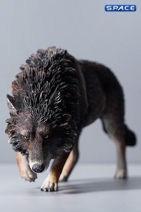 1/6 Scale North American Gray Wolf (black)