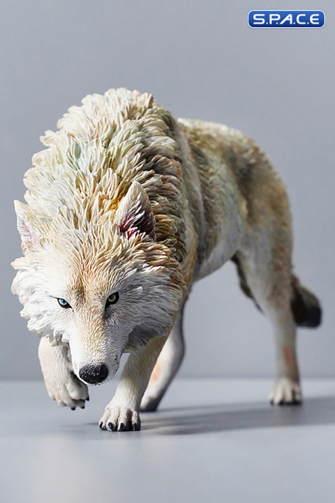 1/6 Scale North American Gray Wolf (white)