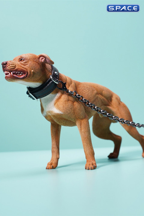 1/6 Scale American Pit Bull Terrier (red)
