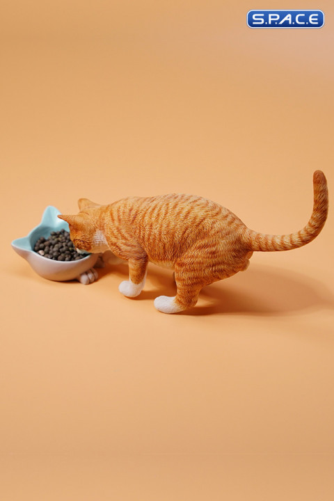 1/6 Scale eating Cat Version A (red)