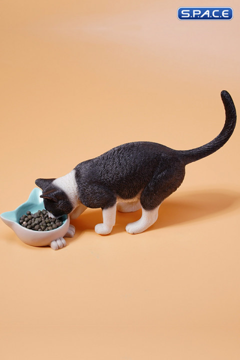 1/6 Scale eating Cat Version A (black)