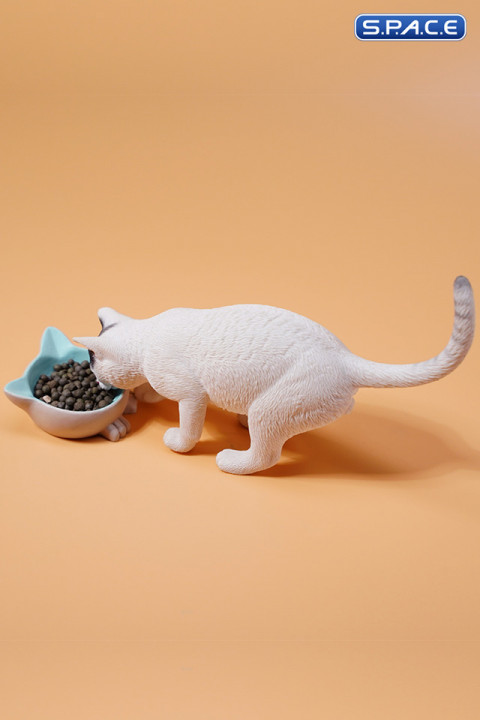 1/6 Scale eating Cat Version A (white)