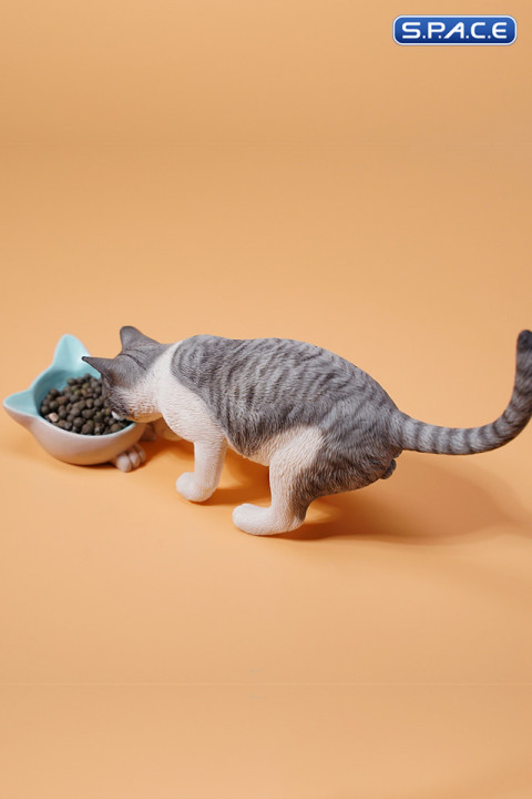 1/6 Scale eating Cat Version A (grey)