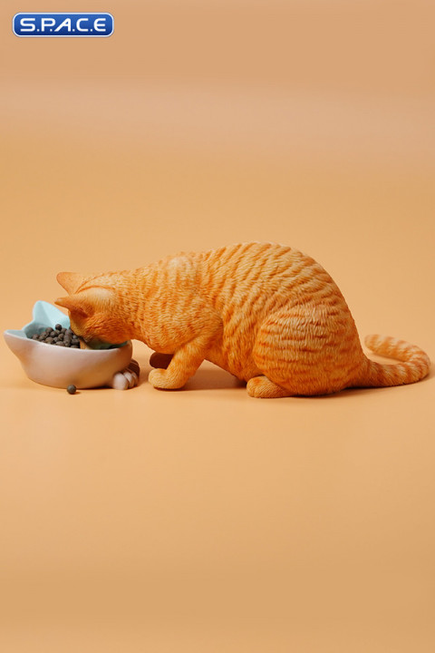 1/6 Scale eating Cat Version B (red)