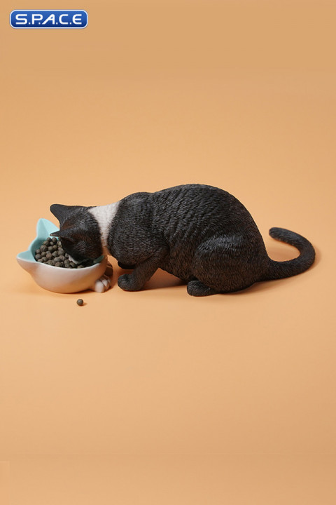 1/6 Scale eating Cat Version B (black)