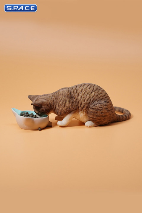 1/6 Scale eating Cat Version B (brown)