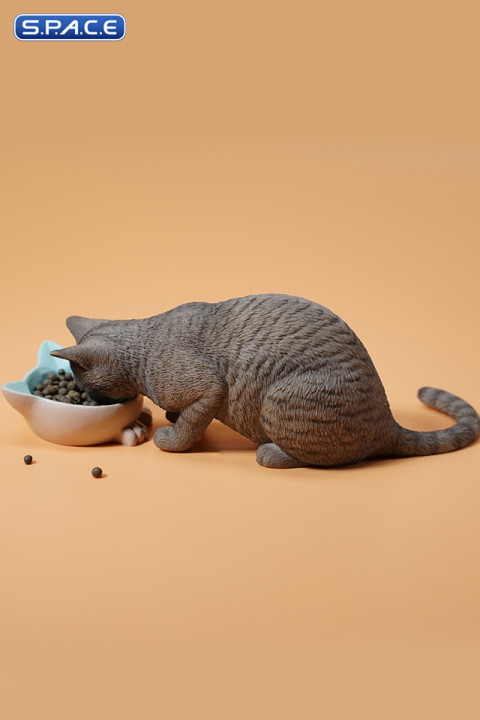 1/6 Scale eating Cat Version B (grey)