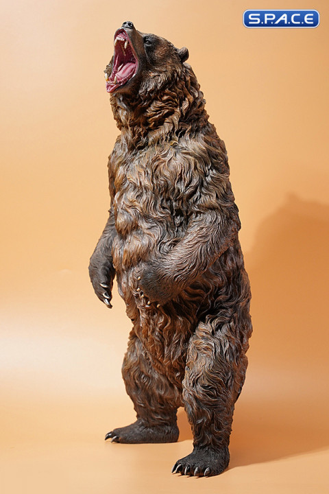 1/6 Scale brown bear Version B